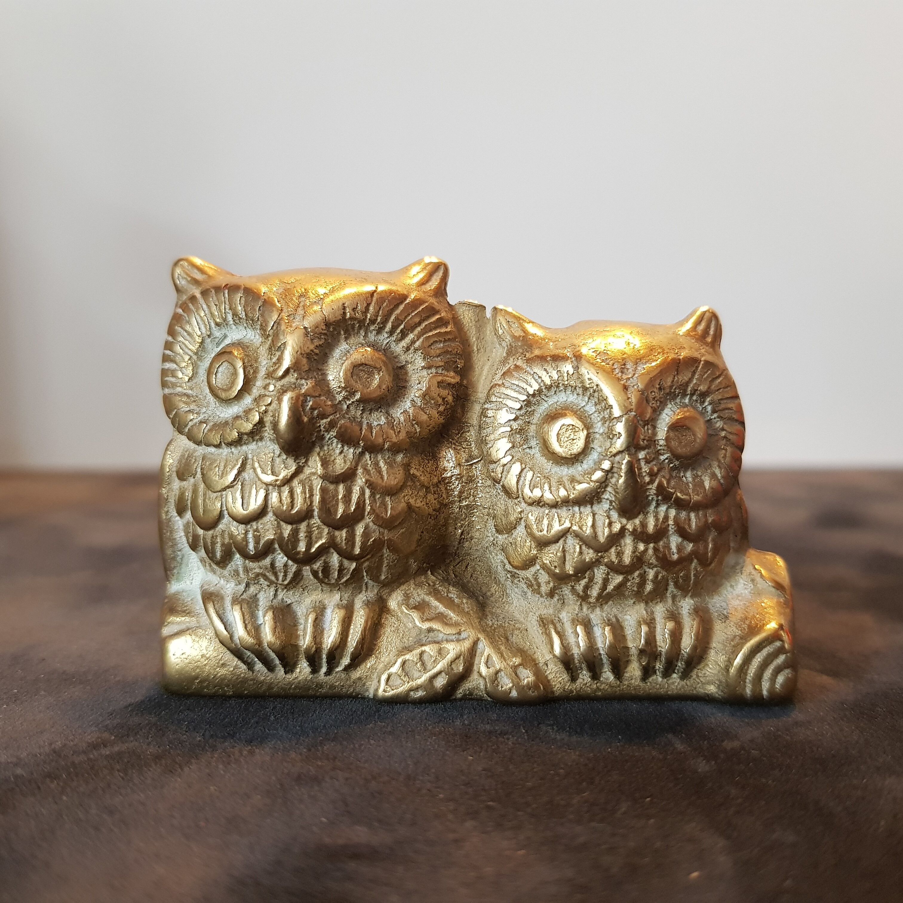Couple de chouette et hibou aiton