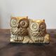 Couple de chouette et hibou aiton