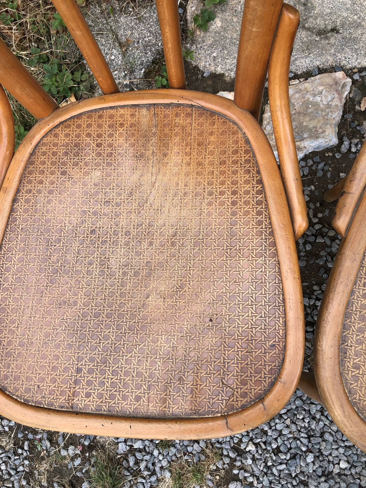 Bauman chair