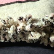 Vintage Berber blanket in neon pink, black and cream striped wool