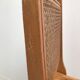 Pair vintage cannesy folding chairs