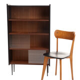 Vintage Scandinavian 1960 library