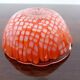 Small Italian Murano Glass Ashtrays, 1960s, Set of 2
