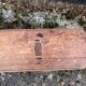 19th oak school bench