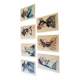 Cartes postales