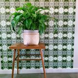 Vintage coffee table, side table, Czech, Dřevopodnik Holešov