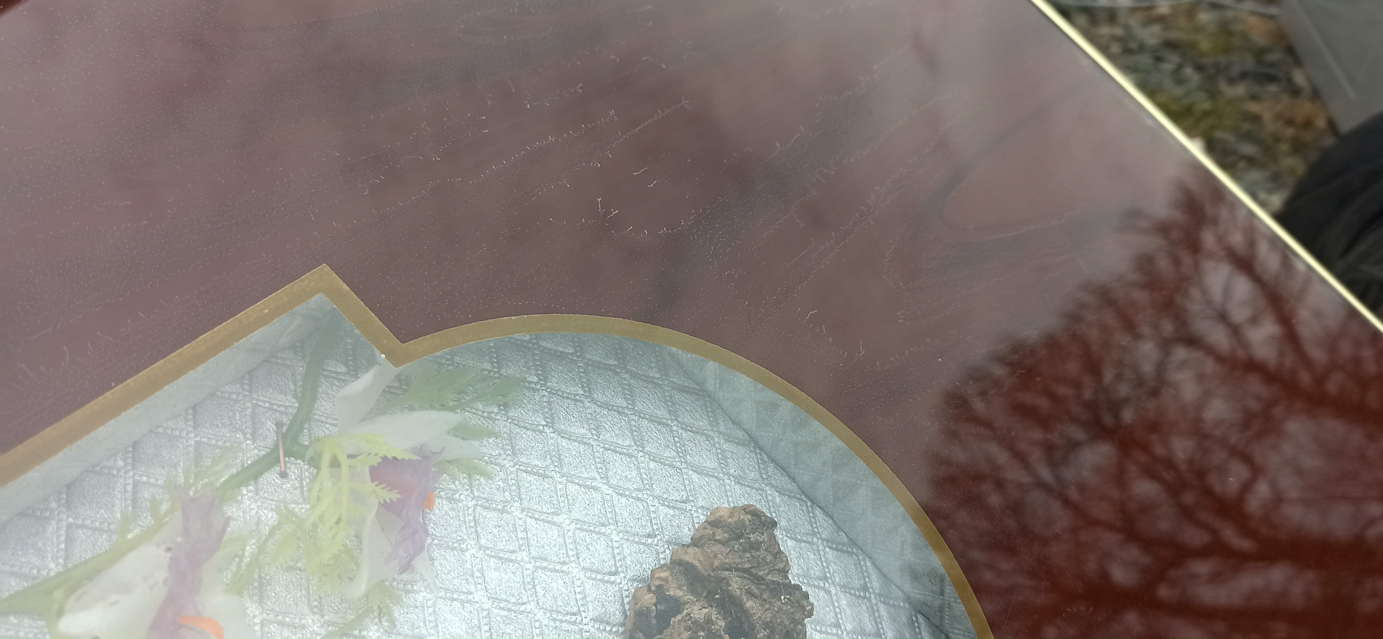 Coffee table of the 50s compass showcase bird and cherry