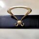 Vintage Ebonized Beech, Brass and Glass Coat Rack with a Landscape, Italy