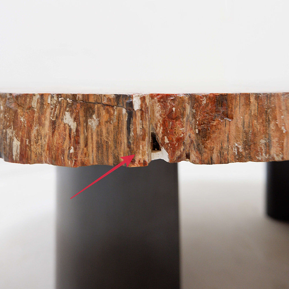 Red petrified wood coffee table from Arizona: 114x88cm