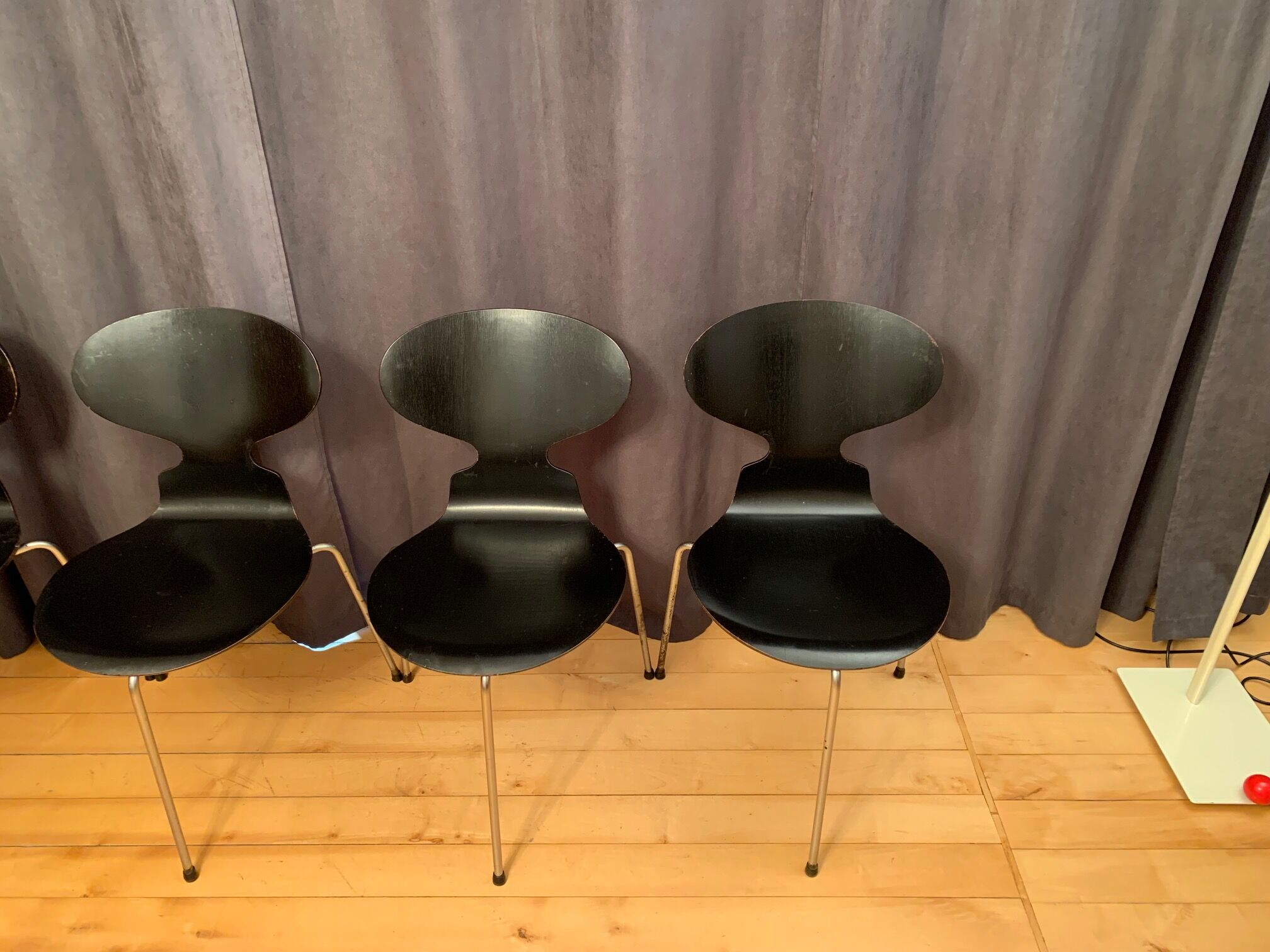 A set of five chairs Early model 3100 by Arne Jacobsen, Fritz Hansen, Denmark, 1963