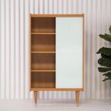 Vintage Scandinavian library - 1960