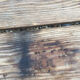 School bench 2 meters
