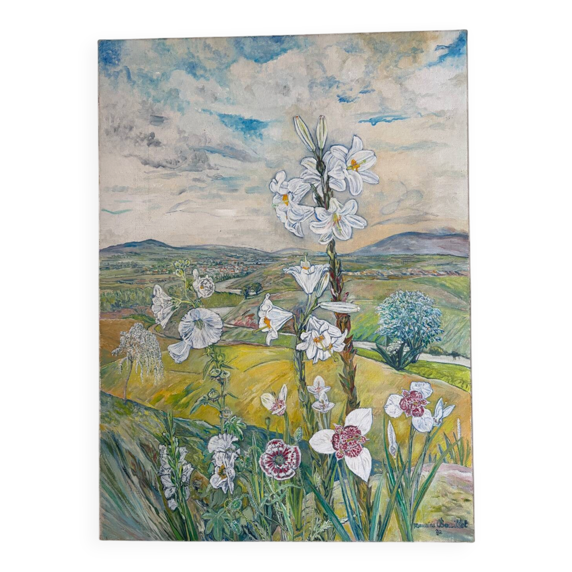 List of tigridias and hollyhocks, signed Maurice Bouillot 1972