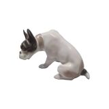 F. Diller Porcelain French Bulldog Rosenthal, 1930s