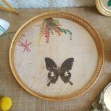 Set tray and 6 under glass bamboo vintage butterflies