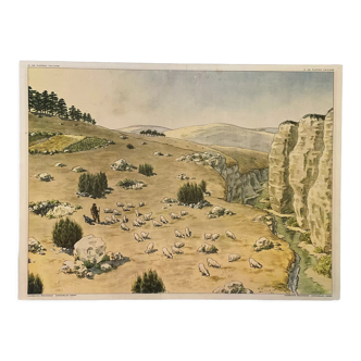 School poster Limestone Plateau and Granite Terrain Montmorillon