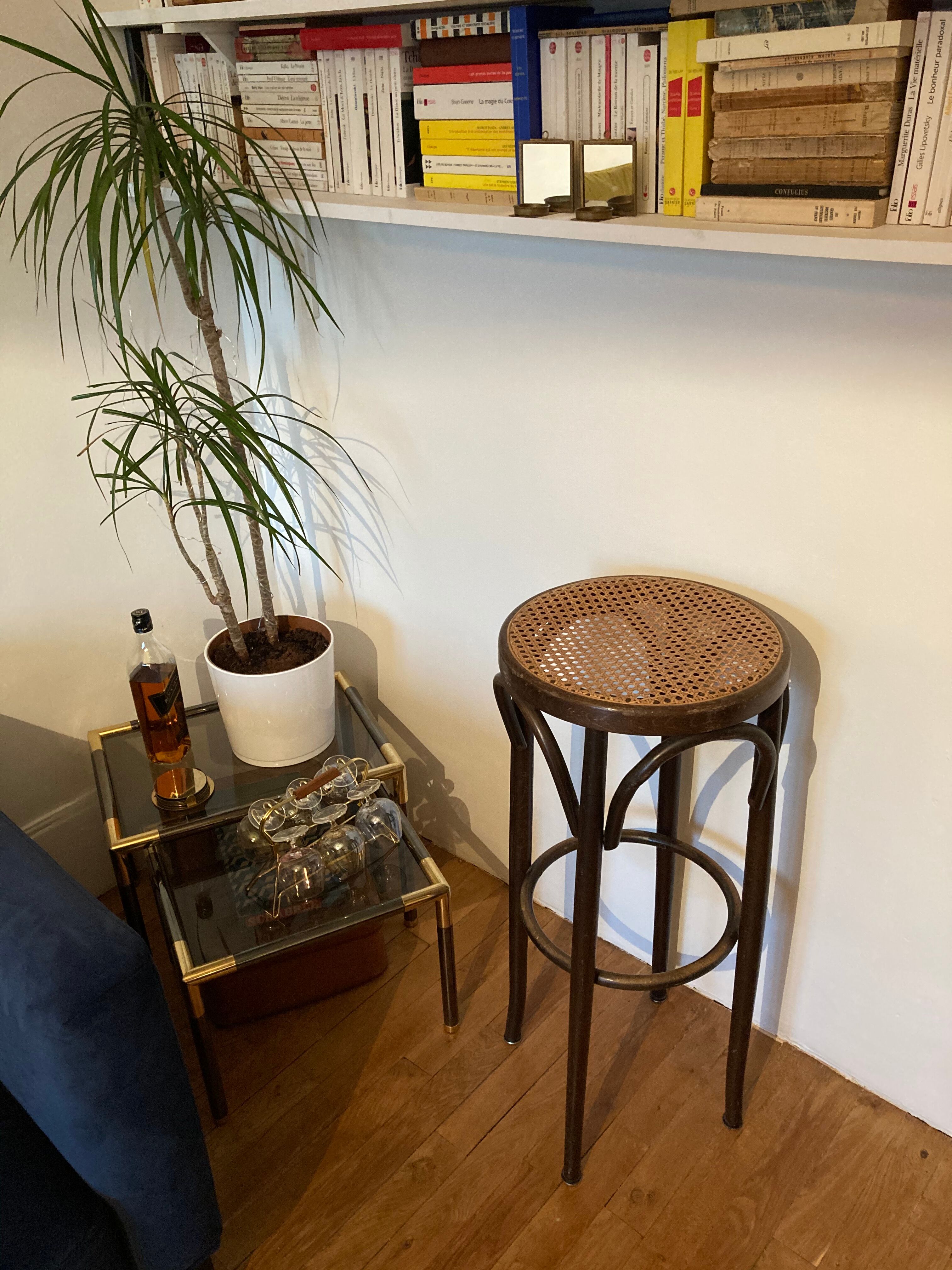 Vintage canna bar stool