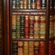 Bibliothèque Theodore Alexander en faux livres en laurier burl