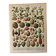 Lithograph of fruits - 1900
