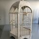 Ancient bird cage