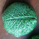 Pair of cabbage leaf-shaped serving bowls
