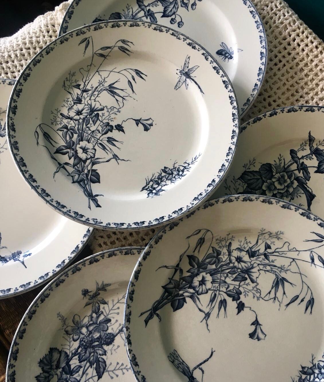 Set of 6 flat plates Sarreguemines "Carmen"