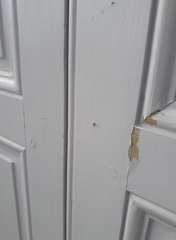 Pair of doors 229,5x110cm closet