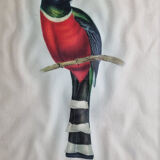 Two orthinological plates framed vintage, after J. & E. Gould (1955)