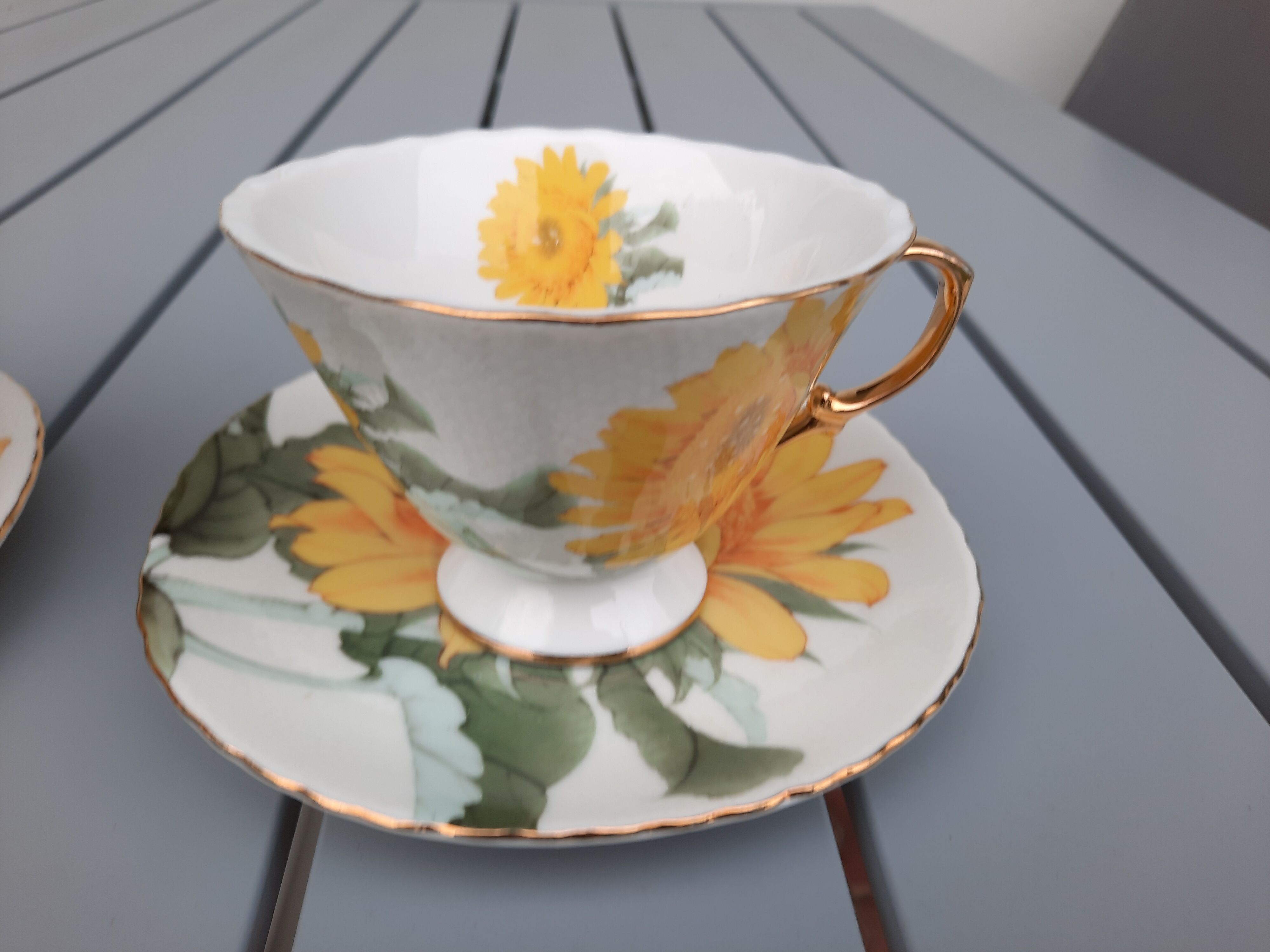 Pair of porcelain cups