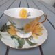 Paire de tasses porcelaine