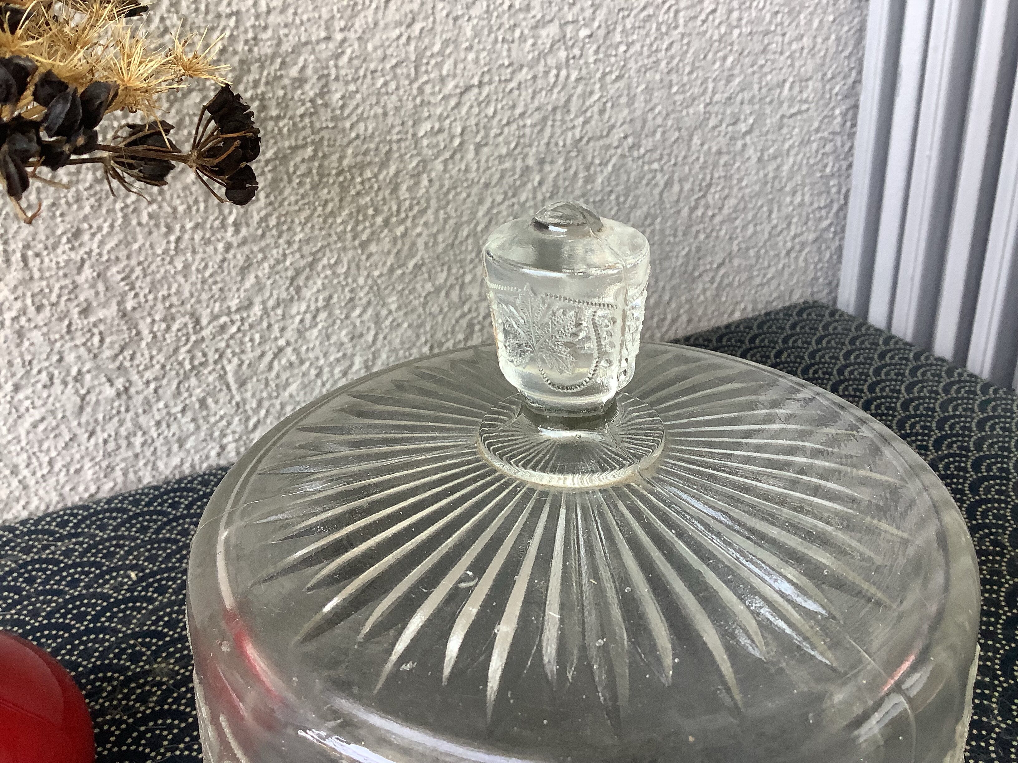 Art Deco molded glass cheese bell