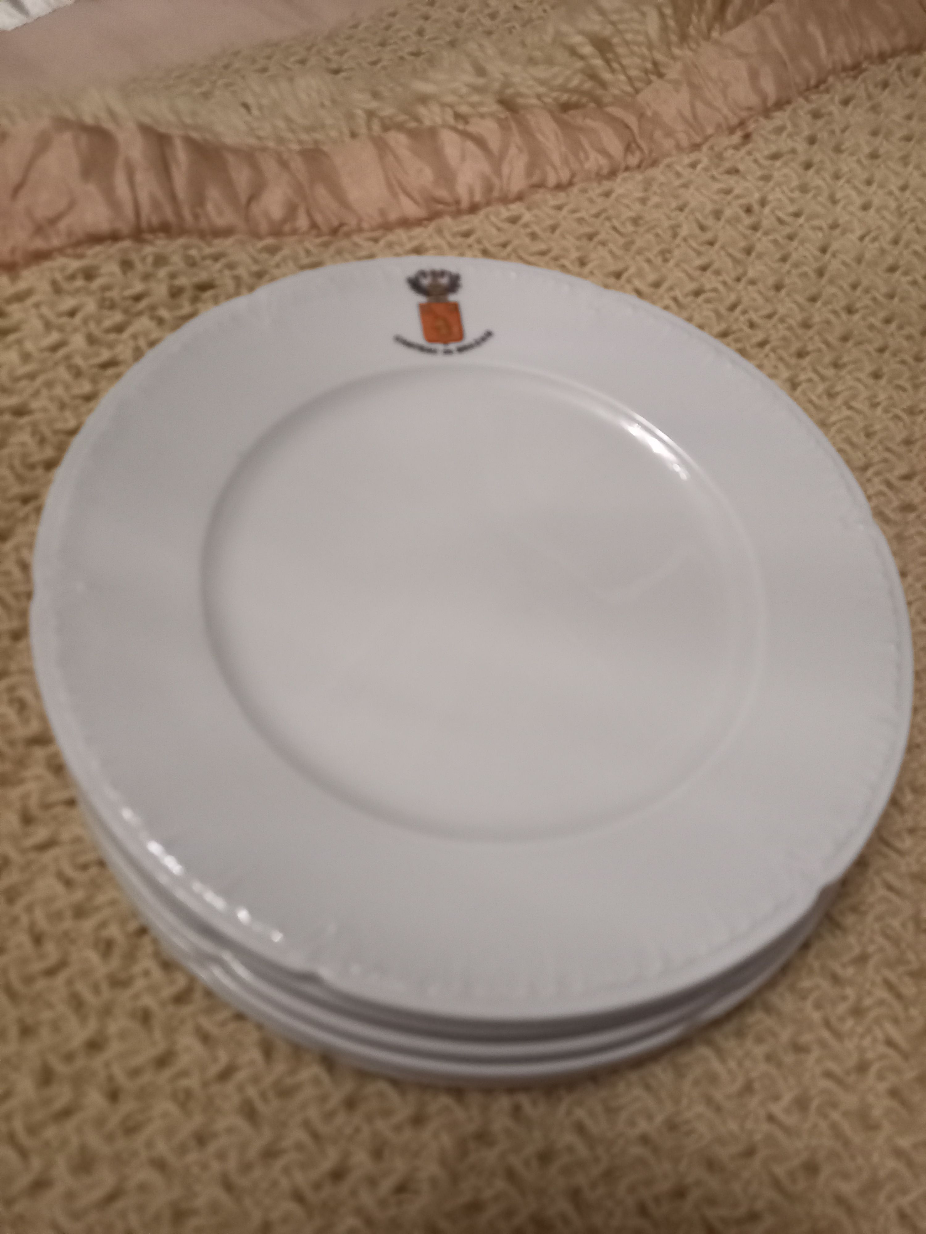 Lot 5 plates Château de Brazais porcelain of Limoges vintage