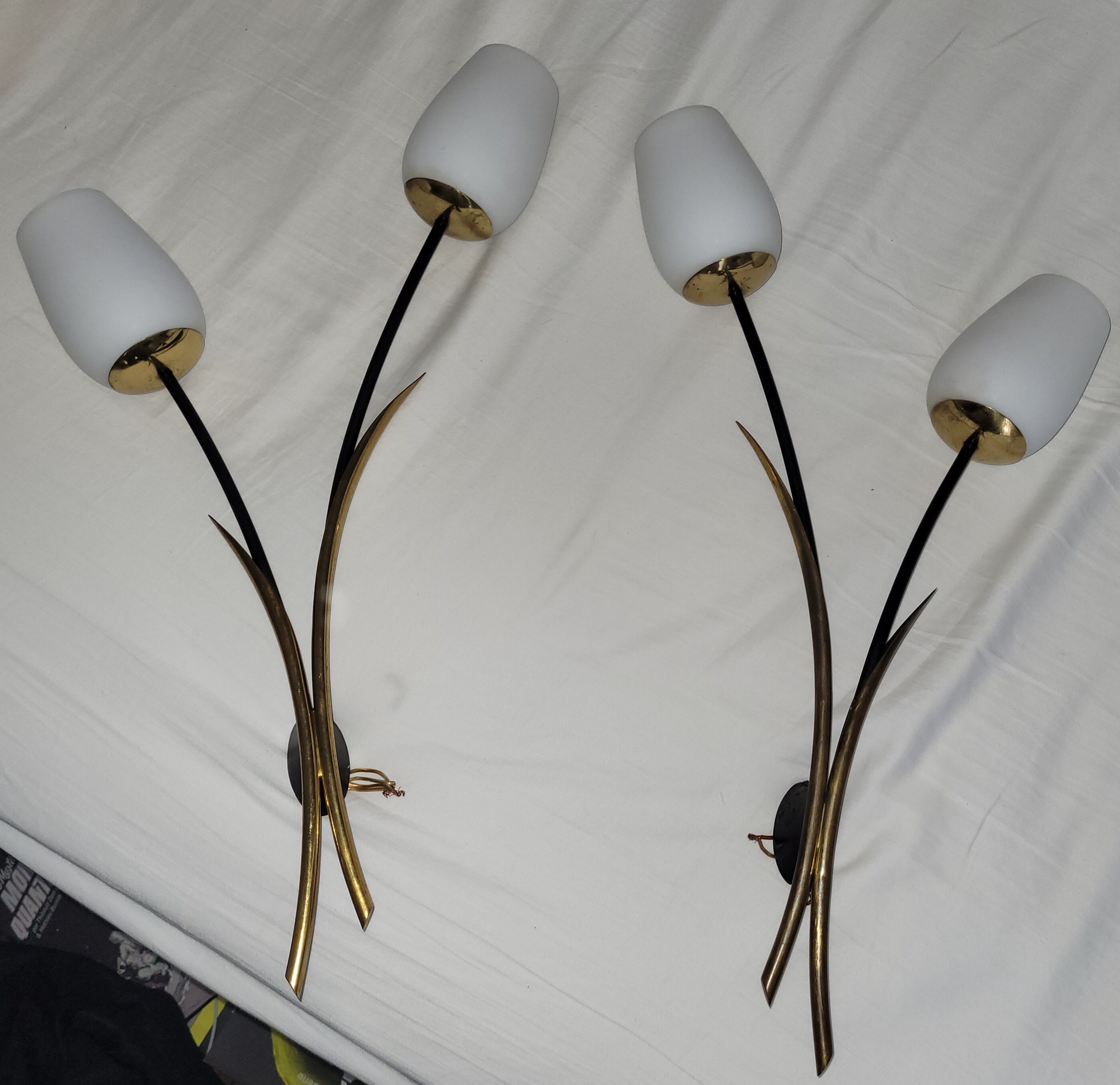 Paire appliques vintage Lunel roseaux 1960