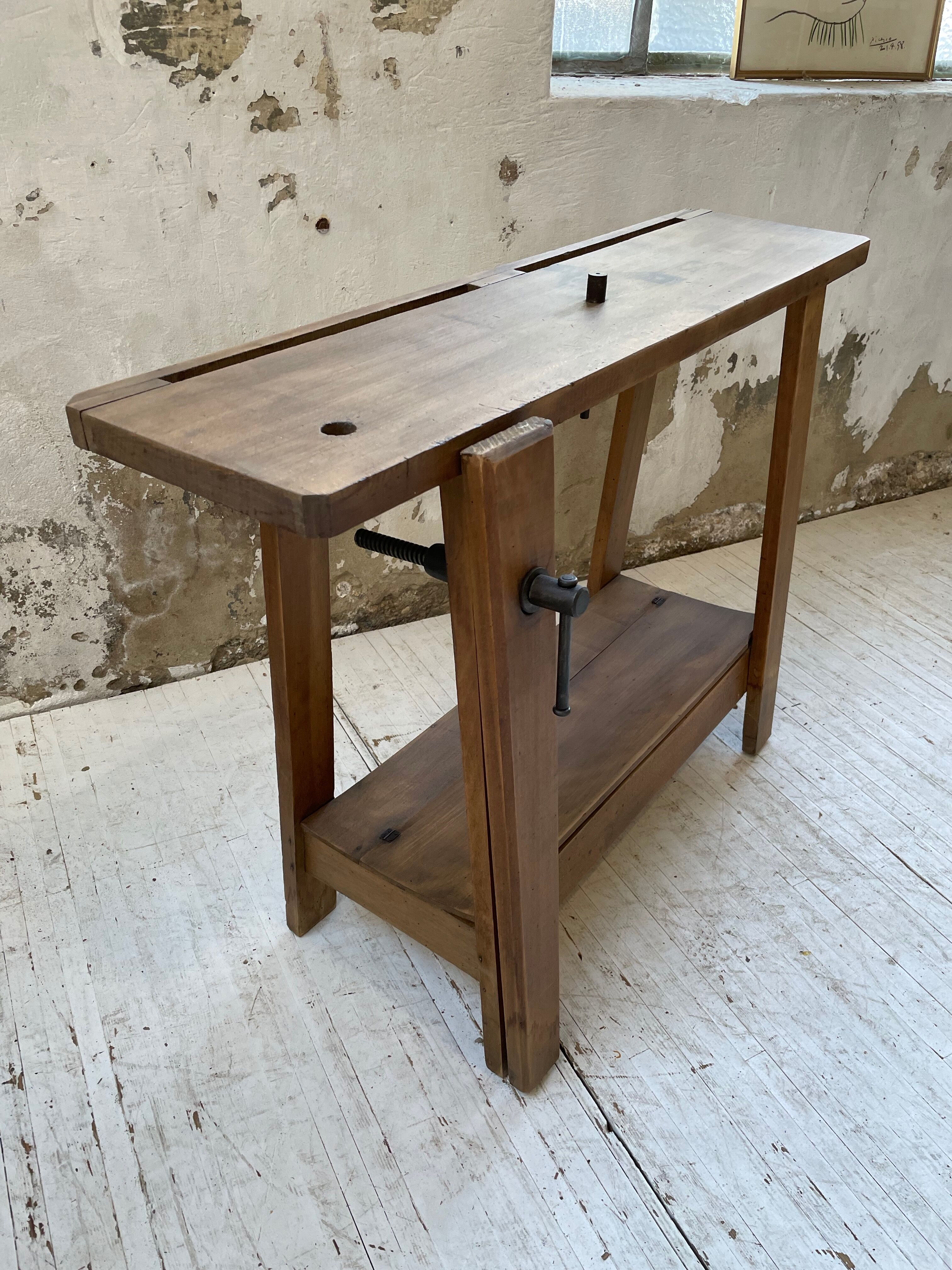 Established XS in cherry tree