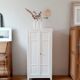 Armoire parisienne vintage