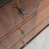 Set of 2 Identical Biedermeier Chests of Drawers, Germany, 19th Century, Wa