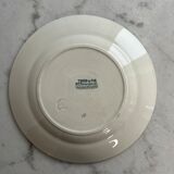 Flat plate Terre de fer Sce Pierrefonds