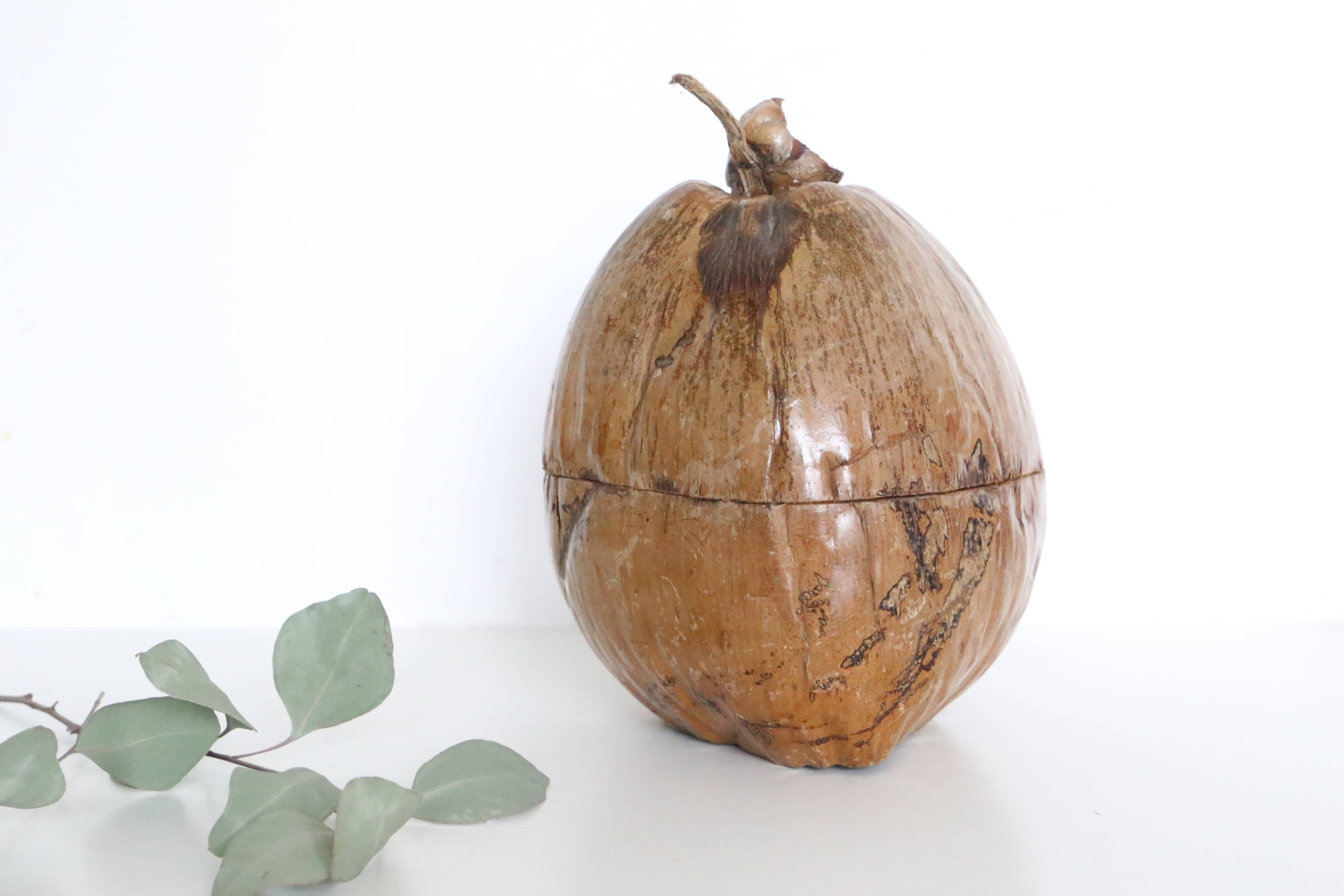 Ice bucket, nature decoration, exotic