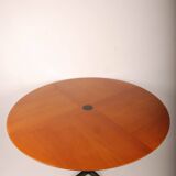 Osvaldo Borsani table 1950 tecno edition