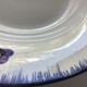5 mary lou digoin blue edge hollow plates