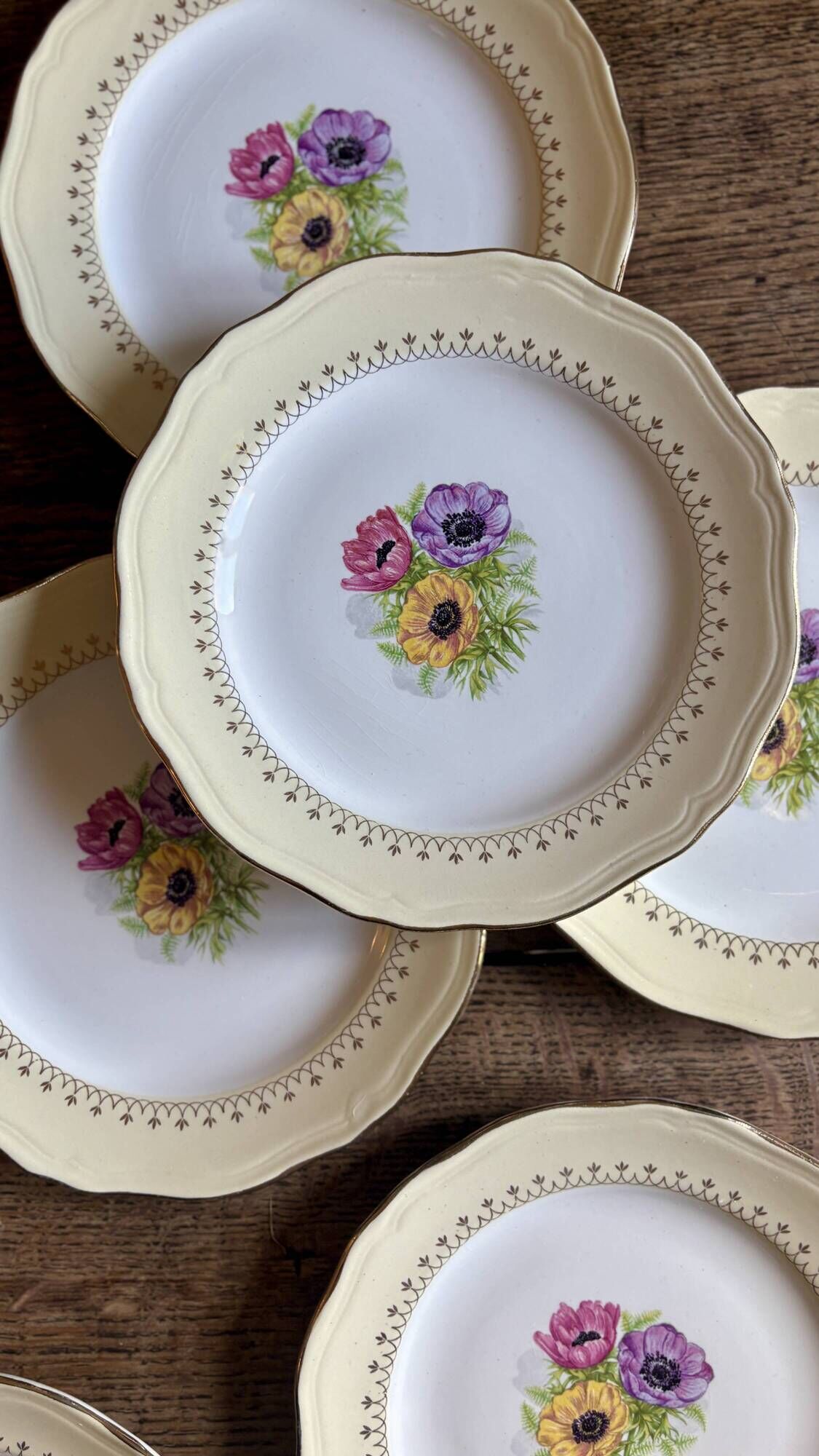 Set of 6 vintage dessert plates model Coopélia - L'Amandinoise