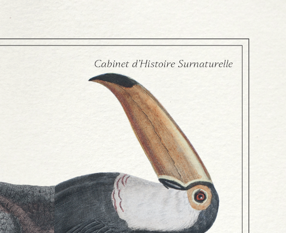 Set of 2 framed chimera lithograph animal engraving