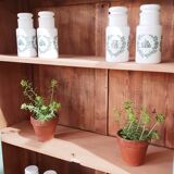 Old showcase