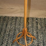parrot coat holder