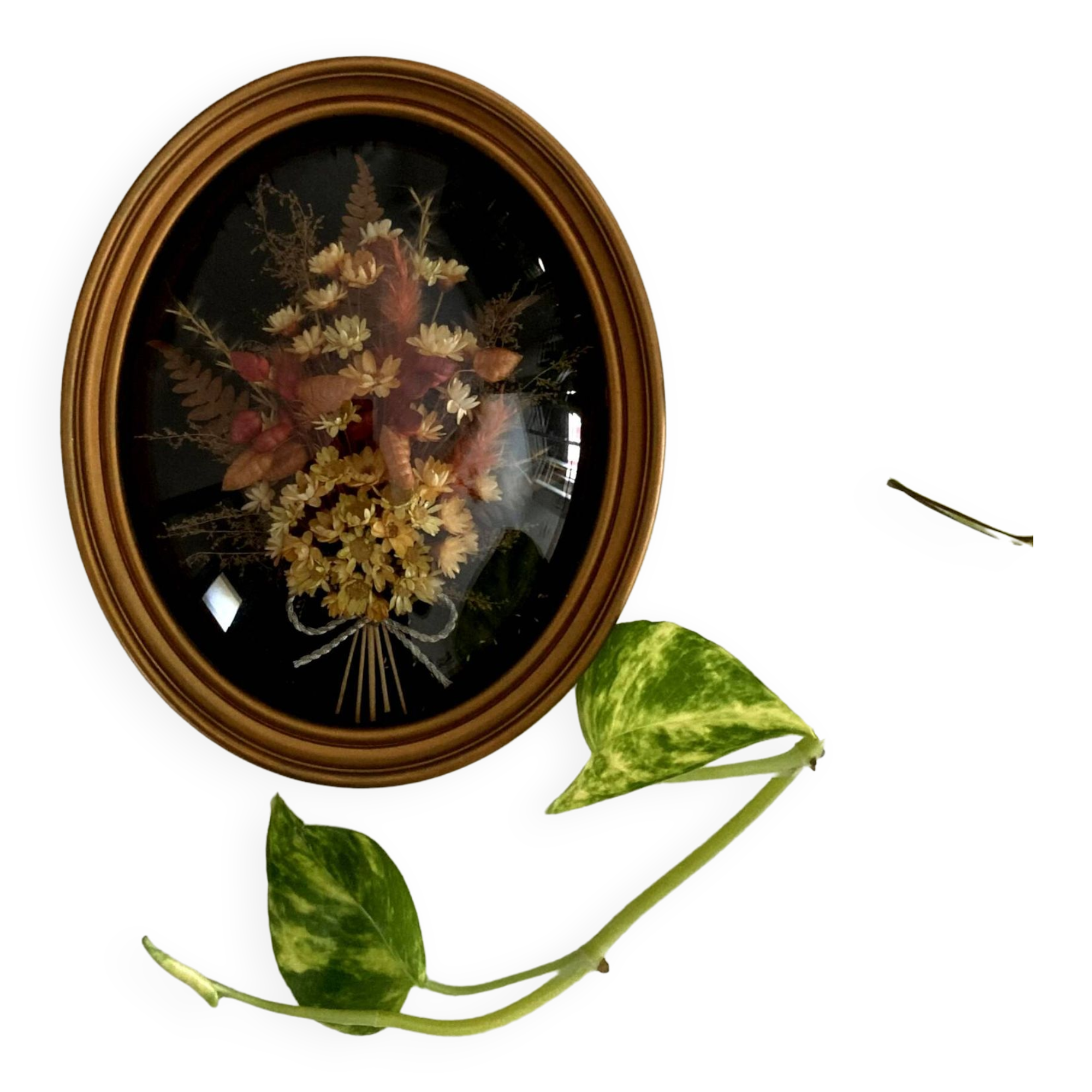 Small frame dried flowers under glass curved vintage imitation wood medallion