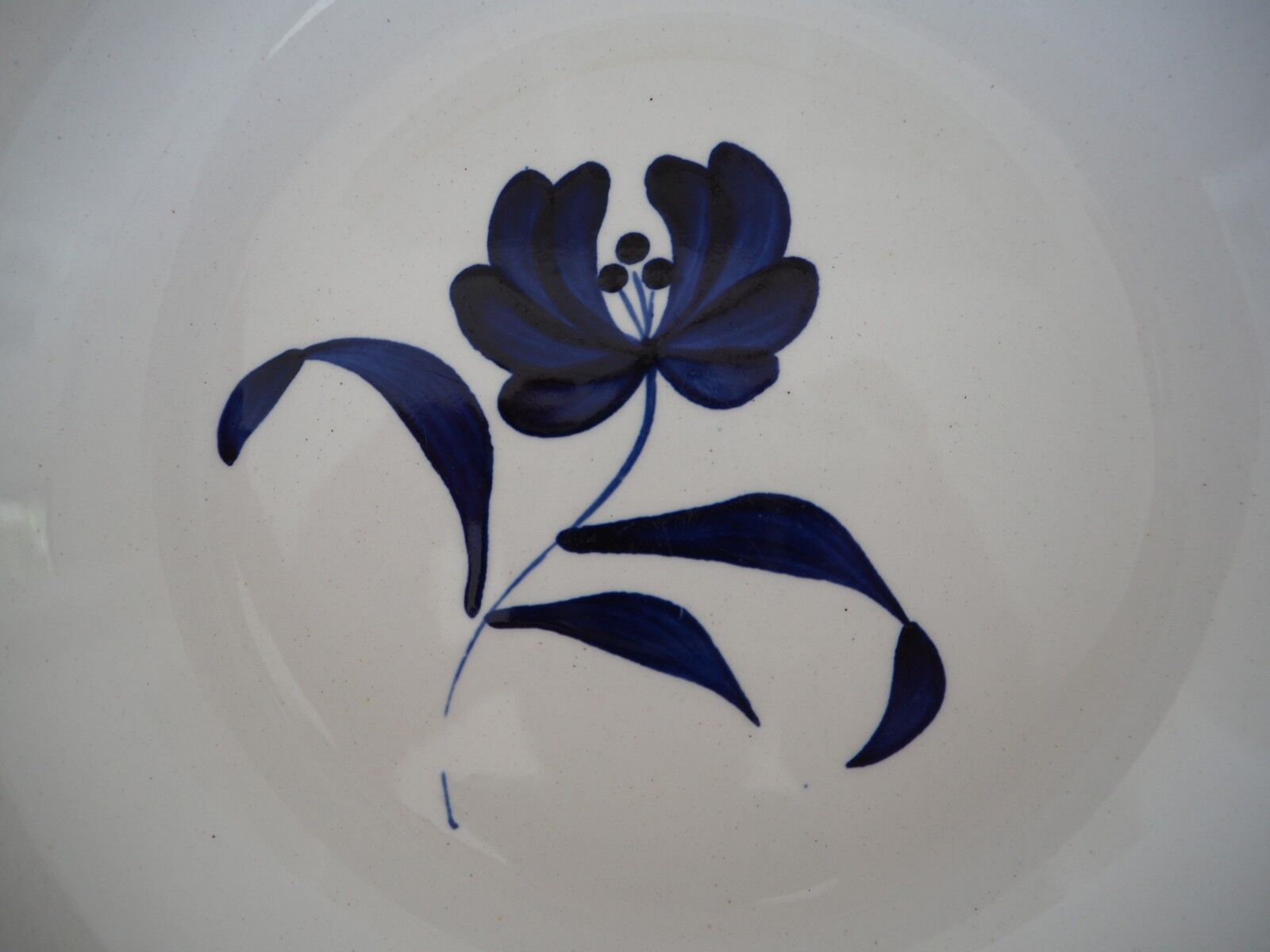 5 blue Agnes B plates