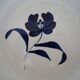 5 blue Agnes B plates
