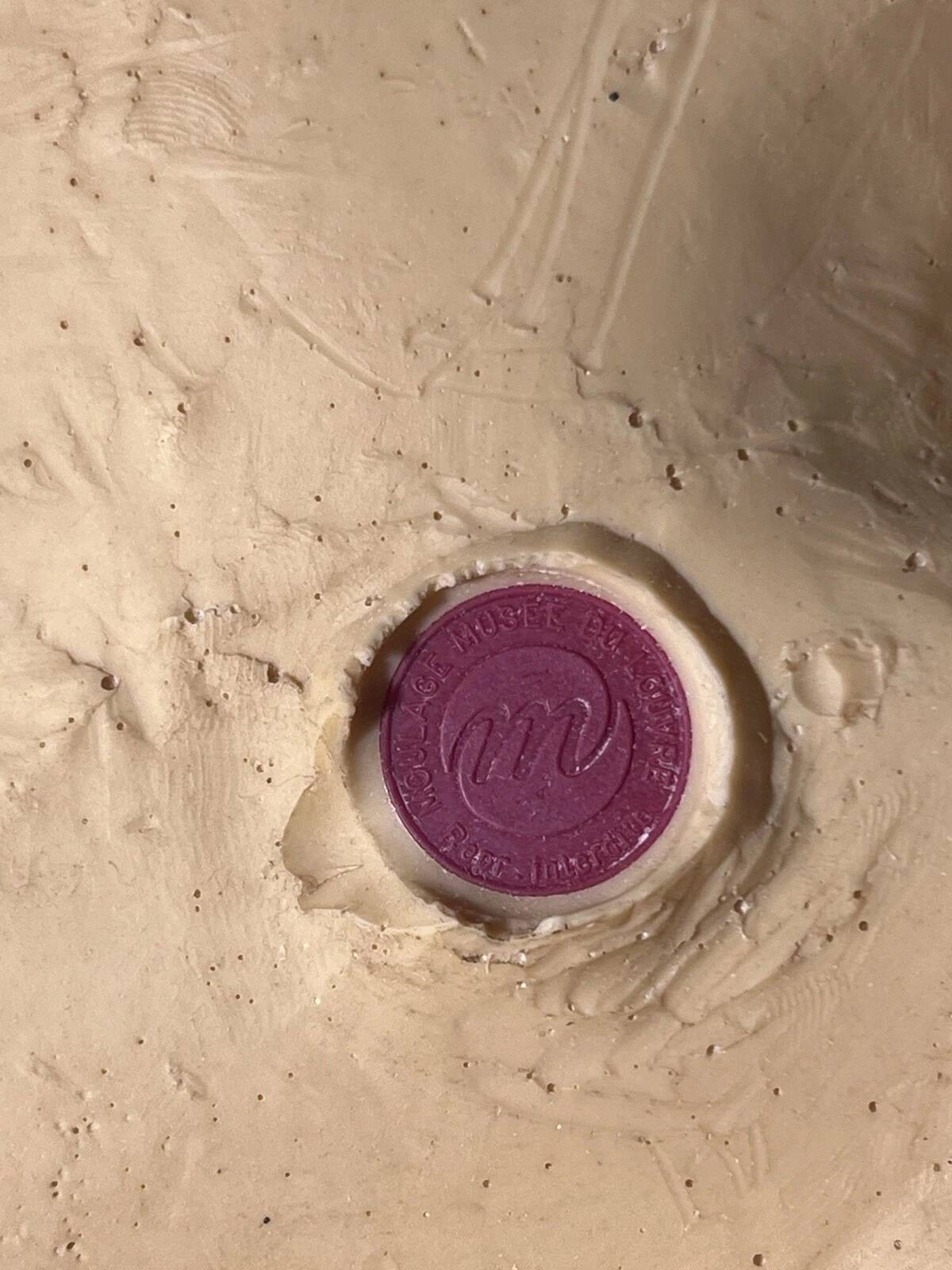 Moulding of the Louvre - Bas relief - Profile - Horse's head