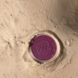 Moulding of the Louvre - Bas relief - Profile - Horse's head