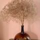 Amber demijohn from the end of 1800